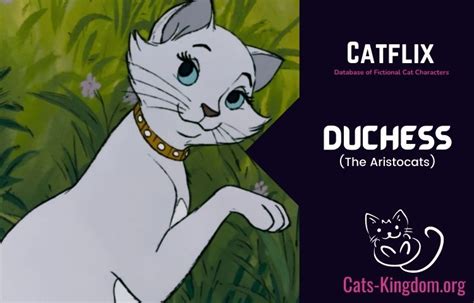Meet Duchess The Cat From The Aristocats Breed Role Relations