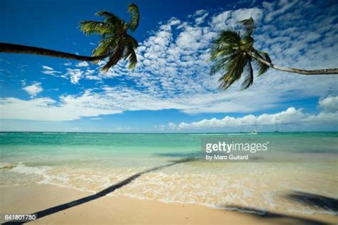 trinidad and tobago beaches fotografías e imágenes de stock getty images