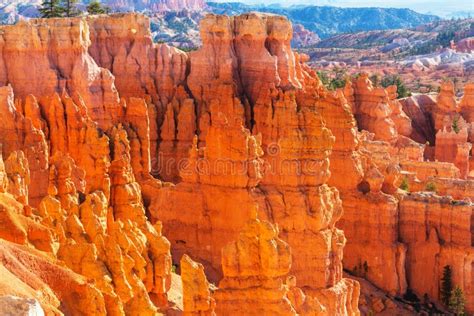 Bryce Canyon Stock Photo Image Of Outdoor Mystical 61523086