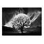 Startonight Canvas Wall Art Black And White Abstract Big Moon Old 