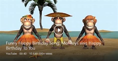 Happy birthday to you, also known as happy birthday, is a song traditionally sung to celebrate a person's birthday. Funny birthday greetings video animation, were cartoon ...