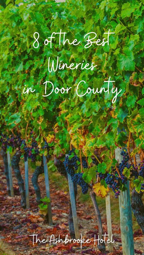 8 Of The Best Door County Wineries That Youll Love Door County