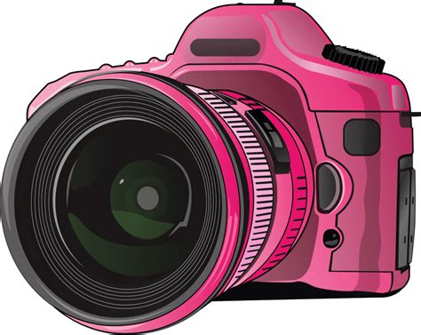 Desenho Rosa Câmera Fotográfica PNG em alta resolução