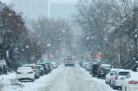 What The Trends Are For The End Of Winter Eden Lawn Care And Snow Removal