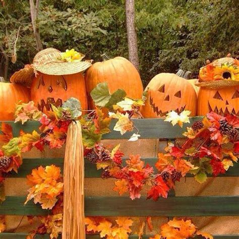 Happy Halloween From My House To Yours Fall Scenery Pumpkins Fall