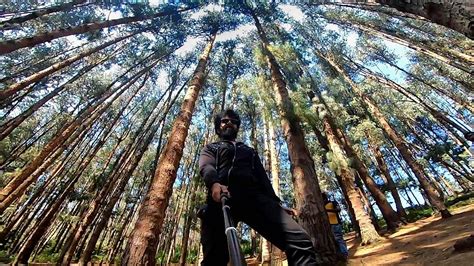 Pine Forest Shooting Spot Ooty Youtube