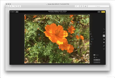 How To Crop An Image In Windows 10 Linux Macos Ios Or Android