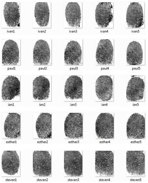 Fingerprints Are Shown In Different Sizes And Shapes With The Names