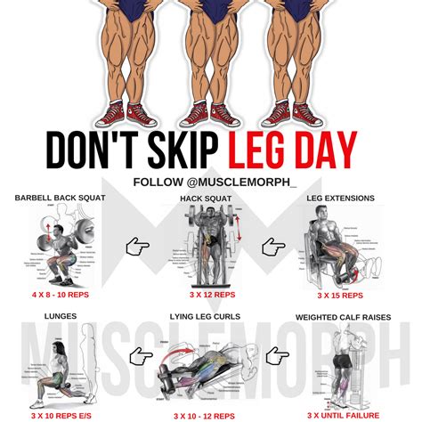 Leg Day Exercise Workout Musclemorph Musclemorphsuppscom Leg Workouts