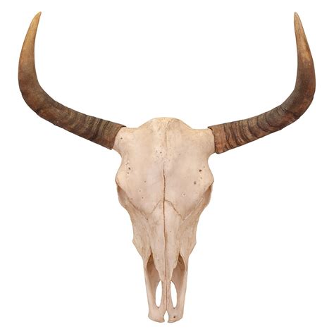 Imax Bull Skull Wall Decor In 2020 Bull Skulls Animal Skulls Modern