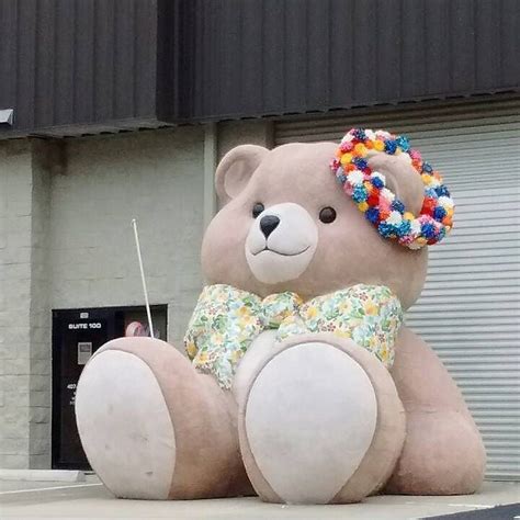 Worlds Largest Teddy Bear Large Teddy Bear Instagram Posts Teddy
