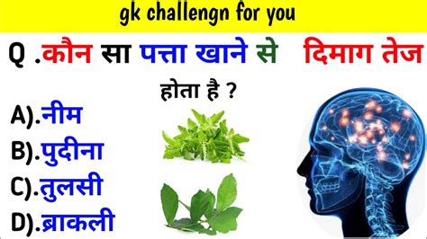 Gk Question Ln Hindi कौन सा पत्ता खाने से दिमाग तेज होता है Question In Hindi Gk In