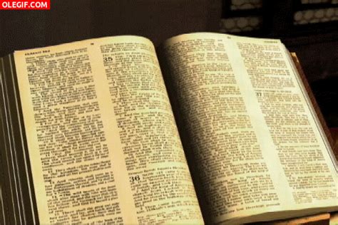  Leyendo La Biblia  5960