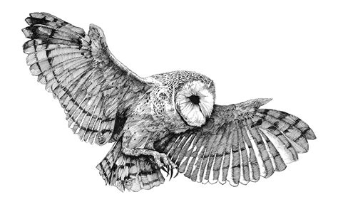 Maybe you would like to learn more about one of these? Download Photoshop Pencil Brush|Free Pencil Brushes Photoshop