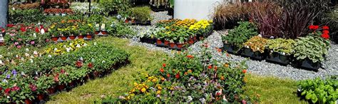 He was always curious about nature and took several of our university and certificate botany courses. UNCC Botanical Gardens Spring Plant Sale - The Charlotte ...