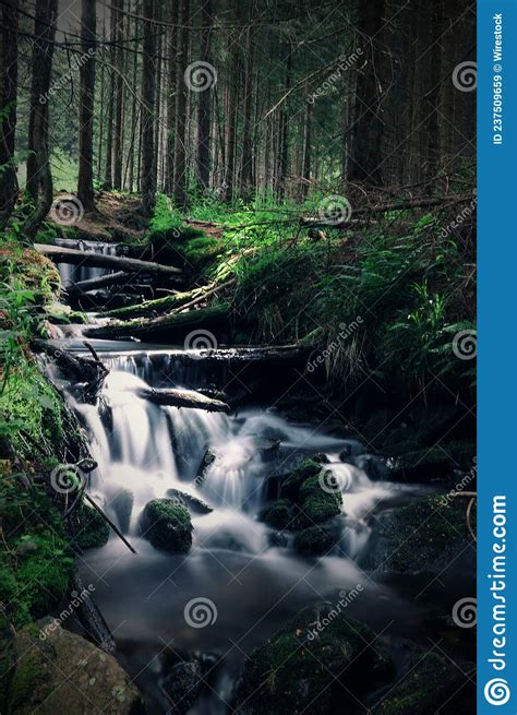 A View To The Cascades Of Wild Stream In Deep Forest At Sumava Stock