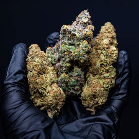 AYR Dispensary - Eatontown (Med) | Eatontown, NJ Dispensary | Leafly
