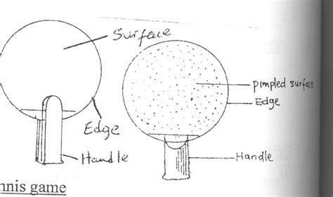 Handball, court, indoor or outdoor game played by striking a ball against a wall or walls with the palm of the hand. 35 Diagram Of A Tennis Court Labeled - Wiring Diagram Database