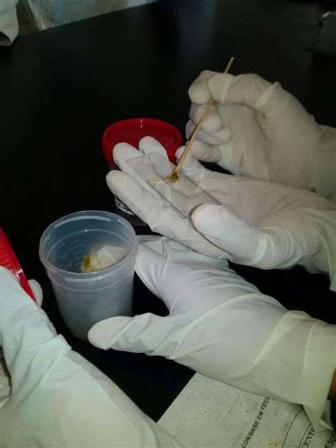 Simple Science: How to Make a Volcano with Kids