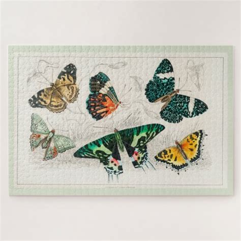 Antique Butterflies Illustration Oliver Goldsmith Jigsaw Puzzle