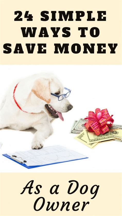 Dog insurance is not as complicated as you think. 24 Simple Ways To Save Money As a Dog Owner in 2020 | Dog owners, Dogs, Pet insurance reviews