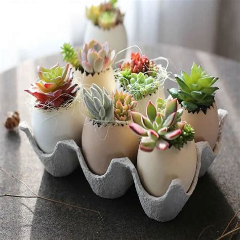 Keybox Hot Sale Creative Flowerpot For Small Succulent Plants With 6