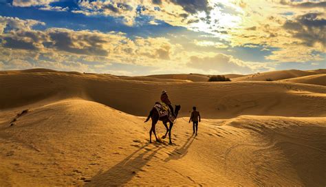 Camels aren't just good for their value as transportation when traveling in the desert. Thar Desert Or The Great Indian Desert of India : All you ...