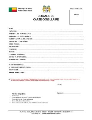 Formulaire De Demande De Carte Consulaire Du Gabon En France Pdf Notice
