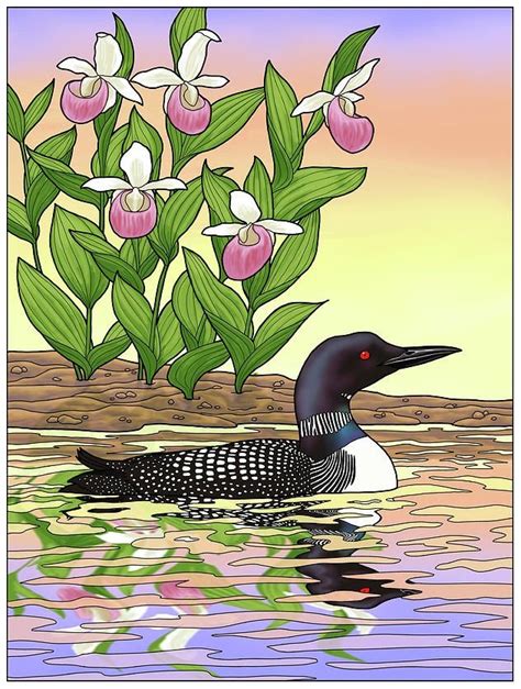 Maybe you would like to learn more about one of these? Minnesota State Bird Loon And Flower Ladyslipper | State ...
