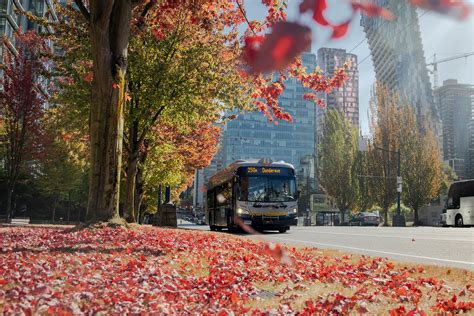 Photos Tour These 6 Transit Friendly Fall Photography Spots In