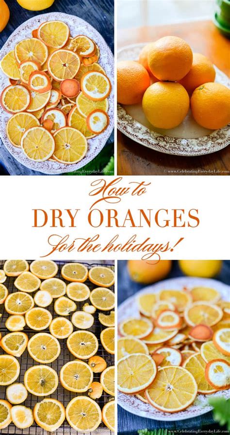 You can dry them in the oven or use a food dehydrator if you have one at home. How to Dry Orange Slices - Celebrating everyday life with ...