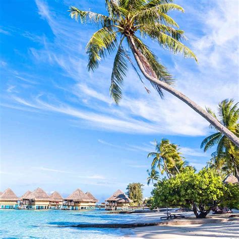 Maldives Honeymoons 2021 2022 Travelbag