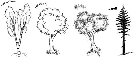 Baum zeichnen / Bäume zeichnen