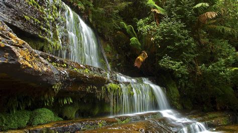 Download 1920x1080 Waterfall Relaxing Stream Moss Rocks Plants