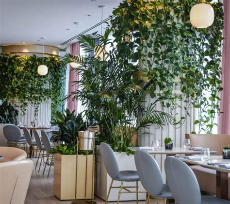 Biophilic Design Services in Victoria | My Biophilic Space