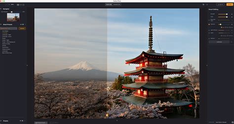 Japan Pagoda Sceen Shot Editing Pro Travel Photographer Elia Locardi