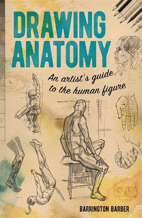 Buy Drawing Anatomy An Artists Guide To The Human Figure Online At