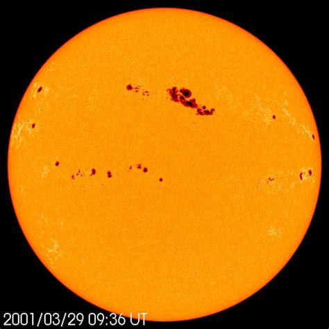 Sun`s Dark Spots Crolli Solar Macchie