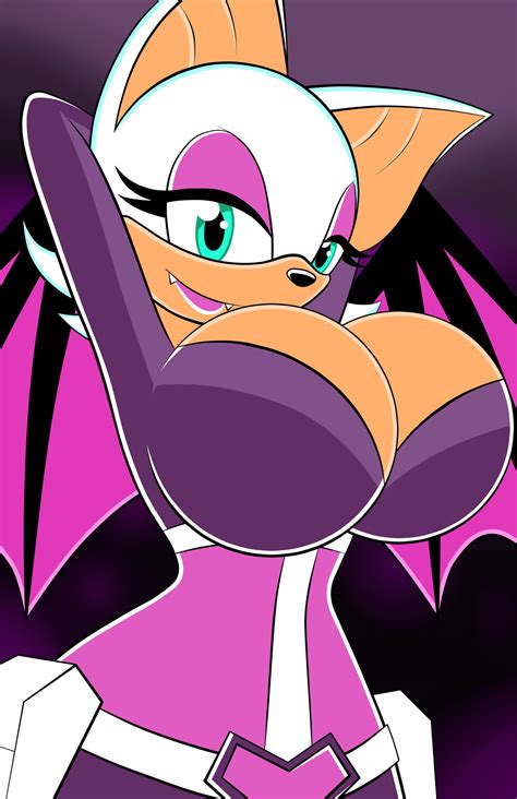 Hero Rouge By Hyperflannel Sonic The Hedgehog Know Your Meme