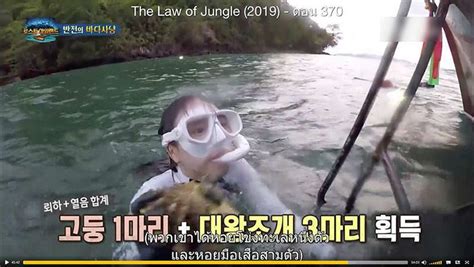 สื่อนอกตีข่าว ไทยแจ้งจับดาราเกาหลี จับ หอยมือเสือ กิน ขณะถ่ายรายการ the law of jungle. สื่อนอกตีข่าว ไทยแจ้งจับดาราเกาหลี จับ "หอยมือเสือ" กิน ...