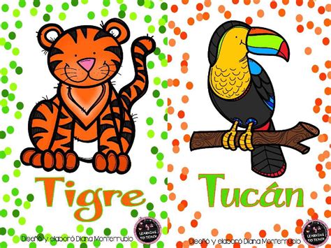 Tarjetas De Animales De Zoológico Y Hábitats 4 Imagenes Educativas