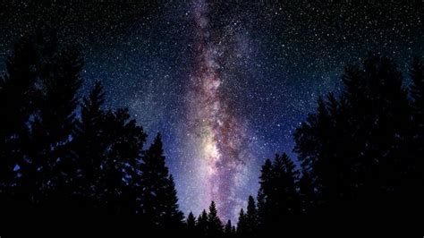 Forest Digital Art Night Galaxy Space Stars Milky Way Atmosphere