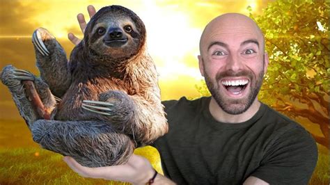 10 Amazing Facts About The Sloth Fun Facts Funny Topics Sloth