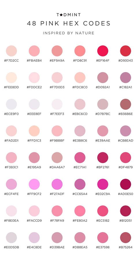 Pink Color Palettes For Web Design A Quick Guide — Design Resources