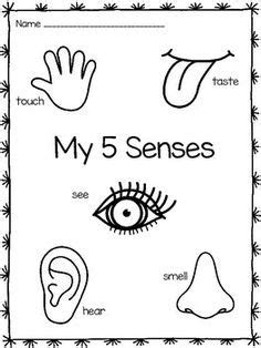 This section has a lot of worksheets for kids, parents and preschool teachers. Five senses preschool, Body preschool, Senses preschool