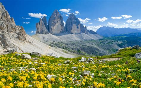 Flowers Of Trentino And Alpine Botanical Gardens Italiait