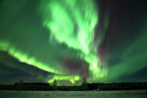 Aurora Borealis In Finland By Mikko Palosaari