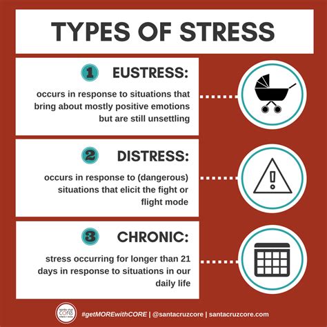 4 Types Of Stress