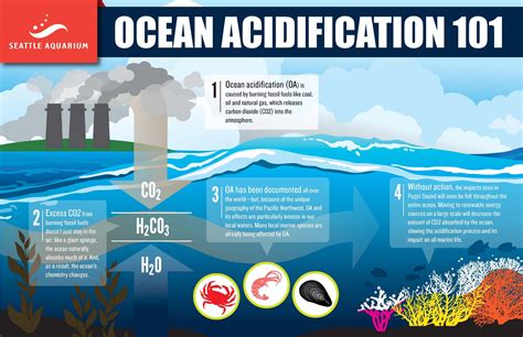What Can States And Their Partners Do About Ocean Acidification