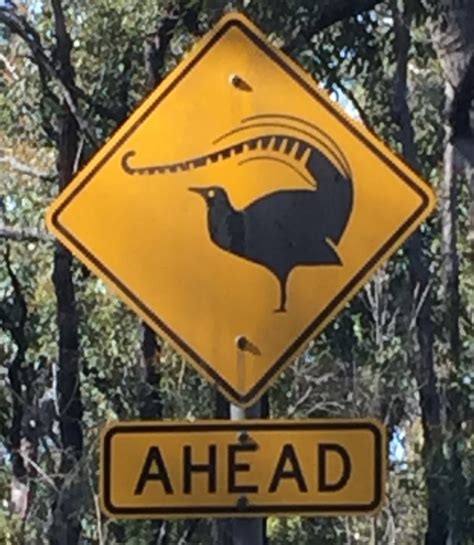 Two Roads Down Under Nov 2016 Australian Road Signs